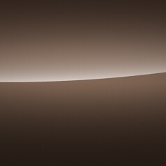 Коричневый `Toffee`, металлик (Polo Connect)